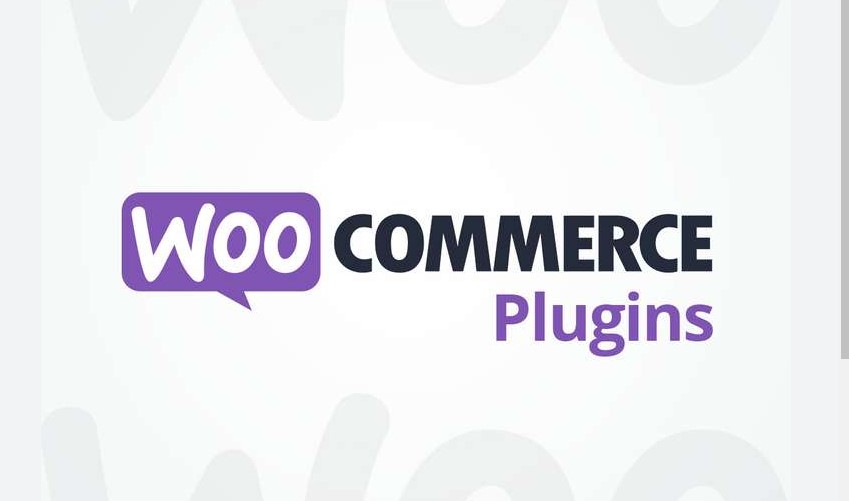 The Best Plugins for a WooCommerce WordPress Store